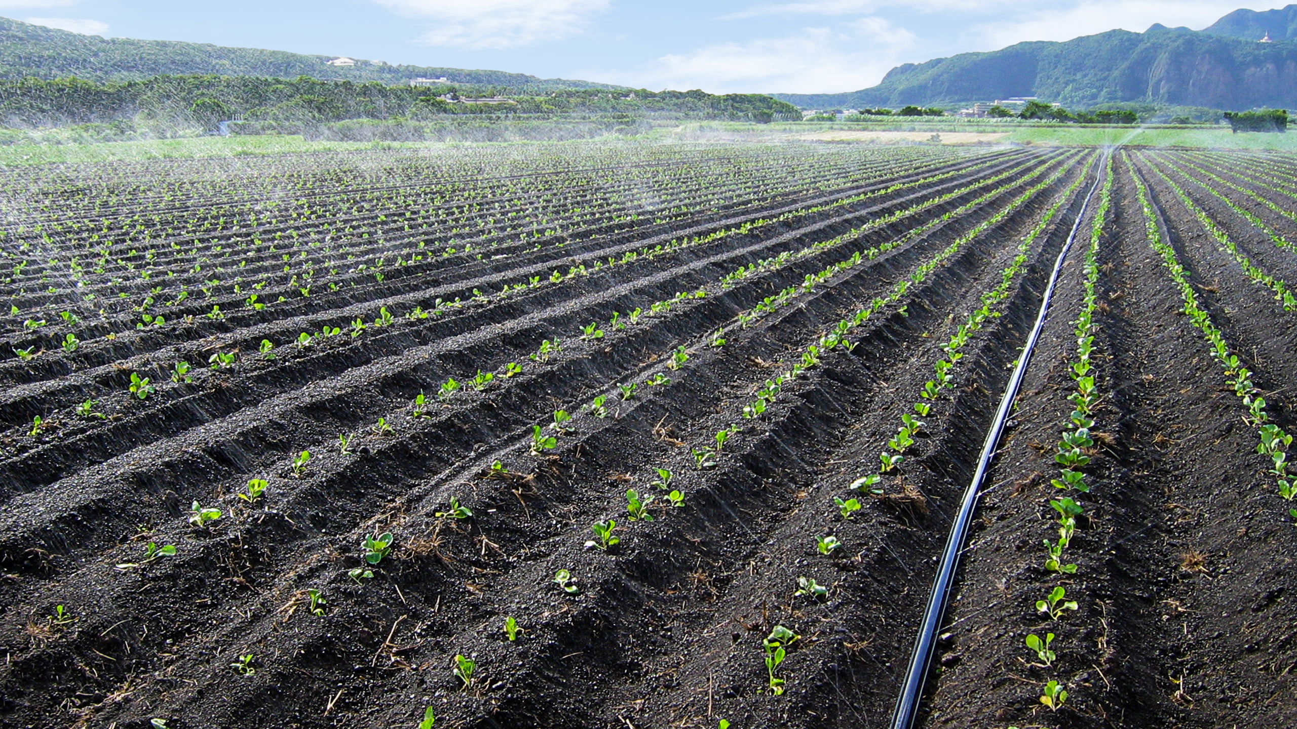 Irrigation materials