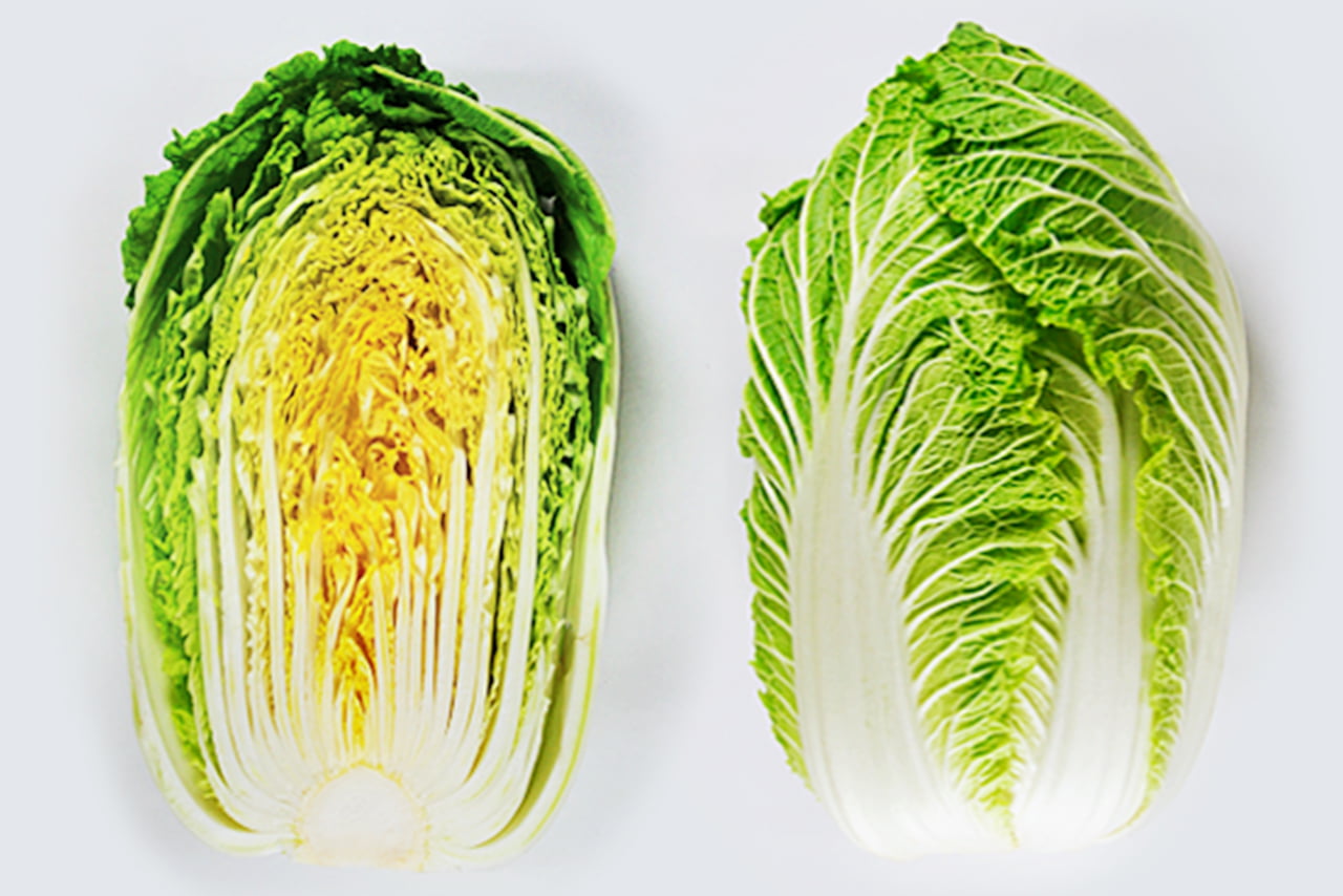 Chinese Cabbage