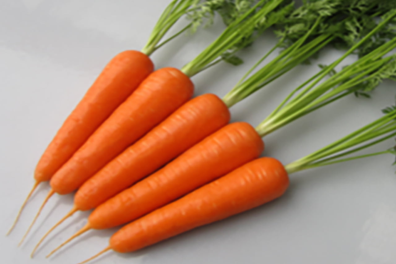 Carrot