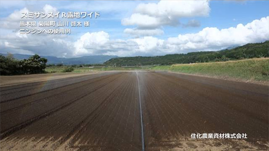 Sumisansui R Wide